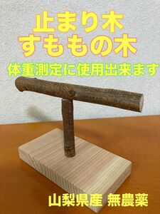 止まり木　Ｔ字形　すももの木　無農薬　山梨県産　小鳥　体重測定に使用可能