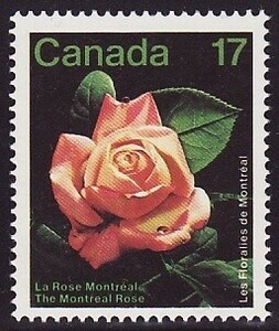 ca078 カナダ バラ