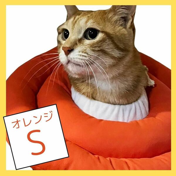 10%off!! 美品 子猫 子犬 エリザベスカラー ソフト オレンジ S 傷口保護 猫 犬 