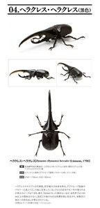 いきもの大図鑑 ミニコレクション 昆虫01 ヘラクレス・ヘラクレス 黒色 黒 カブトムシ 昆虫 動物 生物 フィギュア バンダイ 新品未開封