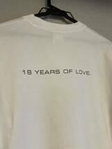 レア NIKE VINTAGE ヴィンテージ JORDAN 18 YEARS OF LOVE エア ジョーダン 半袖 Tシャツ XL 白 ホワイト ジョーダン1_画像7