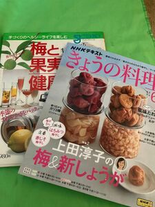 きょうのの料理　2023 6月号