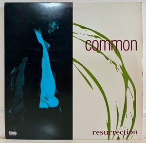 common(sense) / resurrection LP ♪ 1994 2nd・No I.D.,Mista Sinista