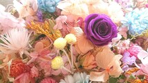 ☆Bouquet de minuit＊花材＊ヘッド＊詰合せ＊薔薇＊紫陽花＊色々＊リース ハーバリウムなどの作品づくりに＊感謝sale￥1～☆_画像3