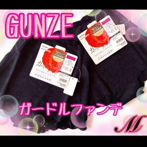 グンゼ　GUNZE キレイラボ　KIREILABO トゥシェ　Fitte ソフトガードル　完全無縫製　補正下着　ショーツ　M