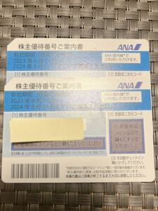 【番号通知のみ】ANA株主優待券 現物発送不可 有効期限 2024年5月31日迄有効 1枚〜2枚