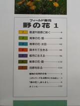 野の花１　フィールド百花　昭和57年　山と渓谷社　1円_画像2