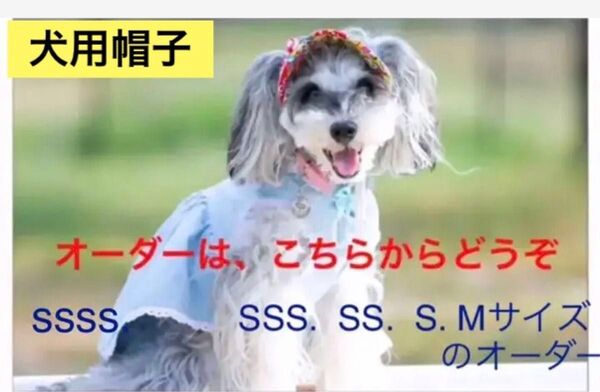 犬用帽子オーダー受け付けます　　　　　　　　　　　　　ssss〜Mサイズのオーダー受け付けは　こちらからどうぞ