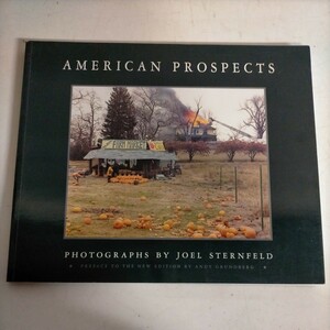 【洋書】American Prospects Joel Sternfeld ジョエル・スターンフェルド Chronicle Books 1994年◇古本/スレヤケ汚れ/写真で確認を/NCNR