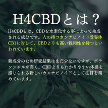 H4CBD配合 高濃度 80% Jack Herer 0.5ml CBD CBG リキッド 2本_画像3