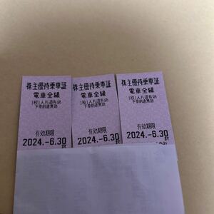 東武鉄道 株主優待乗車証 株主優待 2024年6月30日まで　3枚セット　まとめて　東武鉄道株主優待乗車証