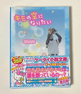 野いちご文庫 キミの空になりたい 月森みるく