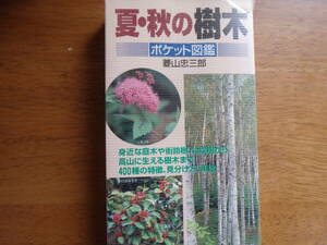 夏・秋の樹木ポケット図鑑 （生活シリーズ） 菱山 忠三郎著