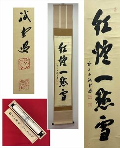 【千寿】大徳寺派 三玄院 藤井誡堂 紅炉一点雪 一行 紙本 d371◆箱/茶道具/古美術/時代品/掛軸/100018607