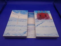 4-3　南極大陸 DVD-BOX_画像4