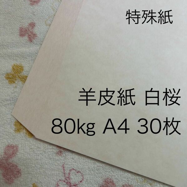 特殊紙　羊皮紙　白桜　80キロ　A4　30枚