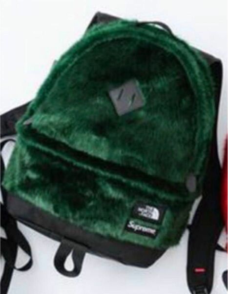 Supreme/The North Face Faux Fur Backpack