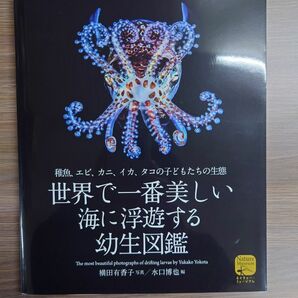 世界で一番美しい海に浮遊する幼生図鑑　稚魚、エビ、カニ、イカ、タコの子どもたちの生態 （ネイチャー・ミュージアム）