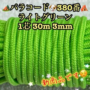 ☆★パラコード★☆１芯 ３０m ３mm☆★３８０番★手芸とアウトドアなど用★