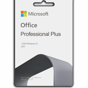 Office 2021 Professional Plus DVD Office