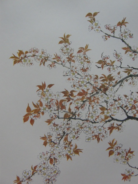 Keika Ishida, [Fleurs de cerisier], Provenant d'une rare collection d'art encadrant, Produits de beauté, Nouveau cadre inclus, intérieur, printemps, fleurs de cerisier, Peinture, Peinture à l'huile, Nature, Peinture de paysage
