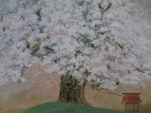 Art hand Auction Tomoki Moriyama, [Daigo Sakura], Provenant d'une rare collection d'art encadrant, Produits de beauté, Nouveau cadre inclus, intérieur, printemps, fleurs de cerisier, Peinture, Peinture à l'huile, Nature, Peinture de paysage