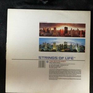 D02 中古LP 中古レコード　THE 10TH PLANET strings of life UK盤　 NTKT88