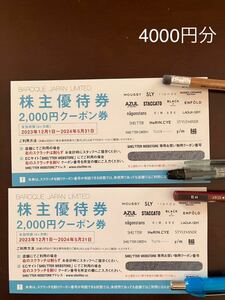 匿名配送　バロックジャパンリミテッド株主優待券2枚　計4000円分