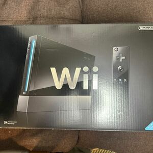 動作確認済　任天堂 Nintendo Wii ソフト2本付き