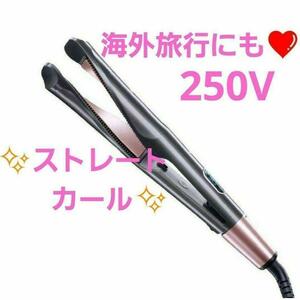 SNSで人気☆日本 海外対応！100℃～230℃まで 温度調整可 ヘアアイロン カール ストレート 変換プラグ付き 旅行