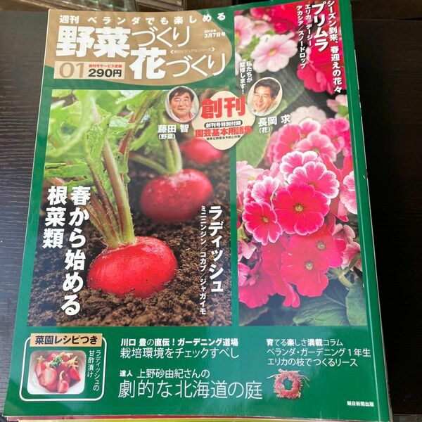 朝日ビジュアルシリーズ週刊　ベランダでも楽しめる　野菜づくり花づくり26冊（全30冊中）