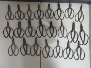  shelves 15*A4204 scissors plant . bonsai gardening tongs . have . next,. light on, cheap . steel, summarize 23 point 