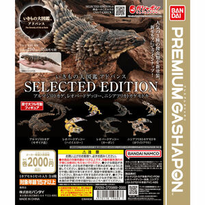 新品未開封　いきもの大図鑑アドバンス SELECTED EDITION 　全４種セット