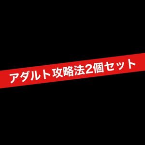 アダルトビジネスノウハウ2個セット