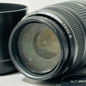 キャノン Canon EF 75-300mm f4-5.6 IS USM｜手ぶれ補正望遠レンズ
