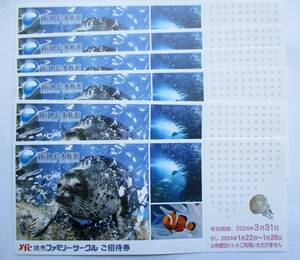 新江ノ島水族館 ご招待券 1～6枚 3/31迄 1枚のみでも大歓迎です