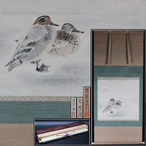 Art Auction [Sora] Guaranteed authenticity Tomiharu Negami Duck Drawing Paperback Signed hanging scroll Same box Double box Japanese painter Founder of Nihongain Artist: Momeaki Yuki C2F11.lD, painting, Japanese painting, flowers and birds, Birds and beasts