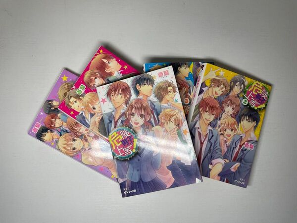 小説 危険男子、上等! 本