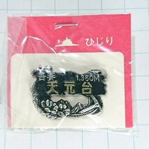 送料無料)未使用 天元台 ご当地 観光地 登山 山登り 旅行 記念 山バッジ ピンバッジ PINS ピンズ A22918_画像1