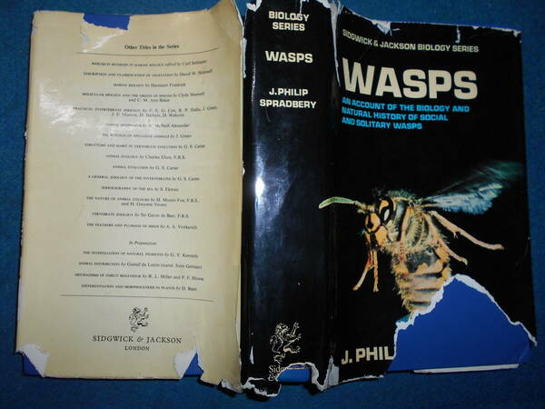 即決　1973年『スズメバチWASPS』ミッチェナー博士旧蔵、ハチ目、膜翅目、生態、昆虫学、スズメバチ、クロスズメバチ、アシナガバチ