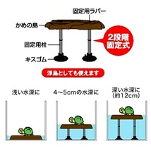 テトラ　レプト　アイランド　かめ　甲羅干し　カメ　浮島_画像4