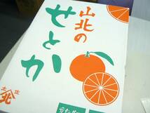 【大玉】高知県産 山北 柑橘の大様 せとか5L 1箱（7玉入）_画像3