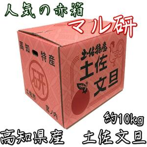 ②1円スタート本場高知より直送 人気の〇研 土佐文旦 露地栽培 10㎏4LB 希少4Lサイズ大玉 訳あり