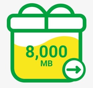 mineo パケットギフト 8GB (8,000MB) 即日対応2