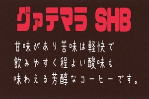 自家焙煎珈琲　グァテマラＳＨＢ　300ｇ　送料無料