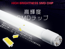 LED蛍光灯 40W型 直管 SMD 120cm 昼光色or3色選択 LEDライト 1年保証 グロー式工事不要 320°広配光 条件付き送料無料 1本 PCL_画像4