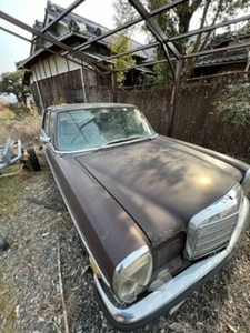 ベンツ　タテ目(114015)　昭和46年3月(1971年)　レストア、部品取り車　一時抹消証あり