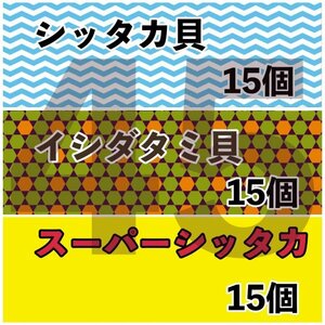 【各15匹 合計45匹】海水水槽コケ取り貝　3種セット　シッタカ　スーパーシッタカ　イシダタミ　★カワハギ釣り餌