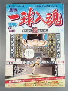 月刊 一球入魂 1981年(昭和56年) 11月号 水島新司がつくる野球コミック誌 表紙:巨人 江川卓/巨人軍優勝記念号/漫画:水島新司 他