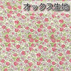 リバティ 別注　アシュテッド　ピンク　生地幅×100cm オックス生地 ハギレ カットクロス